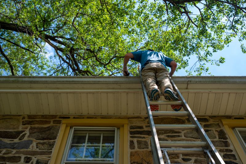 Ladder Safety During Gutter Cleaning