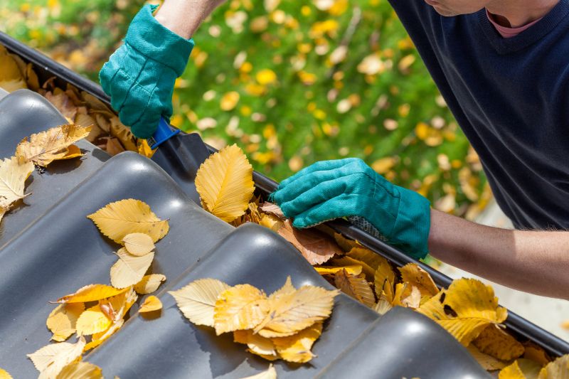 Autumn Gutter Clearing