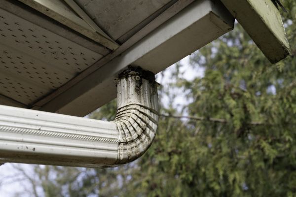 Cost of Roof Drain Replacement in Blue Springs