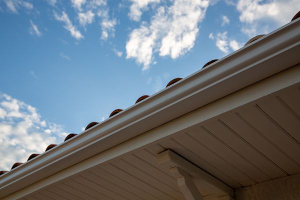 Cost of K Style Gutter Installation in Blue Springs